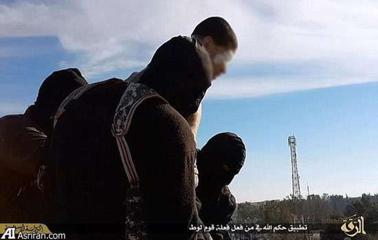 داعش دوباره آدم از بلندی پرت کرد +عکس