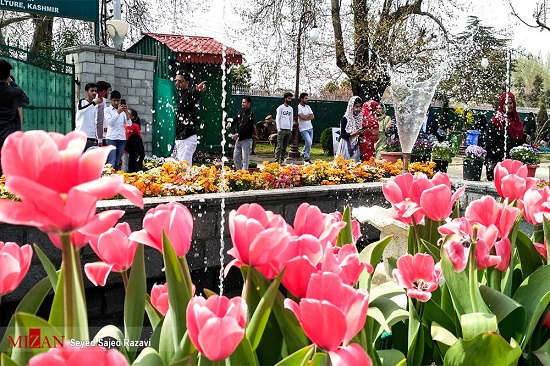جشنواره گل‌های لاله در بهشت روی زمین