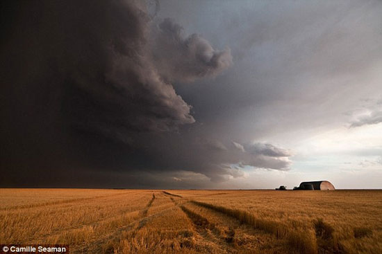 عکس رعد و برق زرد