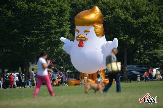 ظهور مرغ غول پیکر مقابل کاخ سفید