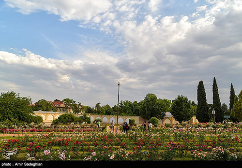 بازگشایی باغ ارم شیراز