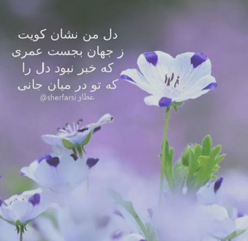 مینی شعر (179)