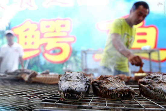 کباب تمساح در چین +عکس