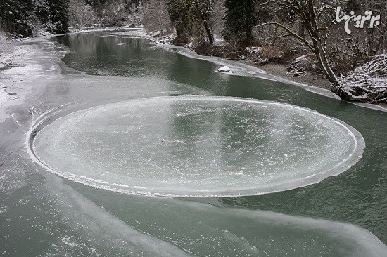 دایره یخی طبیعی و عجیب در رودخانه واشنگتن