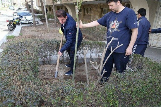 درختکاری محمد بنا، غلامرضا محمدی و عبدولی