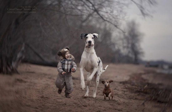 پروژه عکاسی؛ کودکان کوچک و سگ های بزرگشان