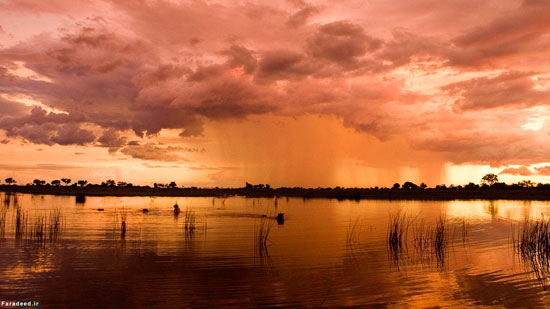 عکس: بهشت رویایی بوتسوانا