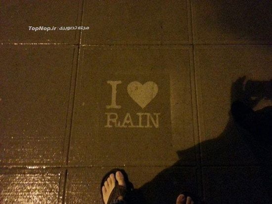 نوع جدید هنرهای بارانی +عکس