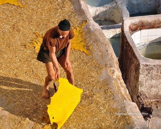 حوضچه‌های چرم سازی در مراکش +عکس