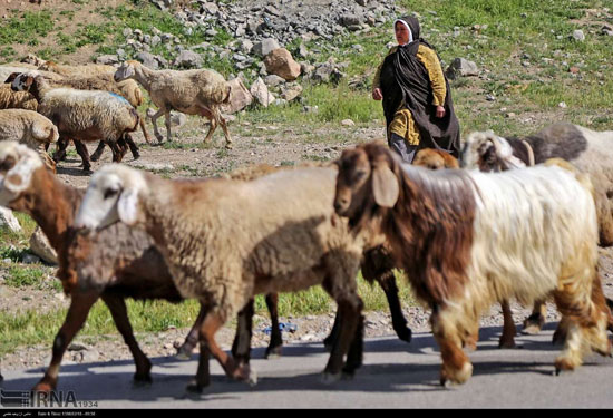 دهکده نساجی سنتی ایران