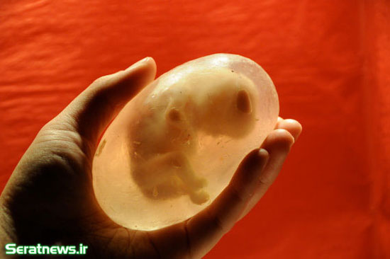 ساخت صابون جنین انسان! +عکس