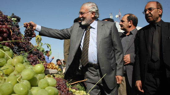 عکس: نمایشگاه انگور در هرات