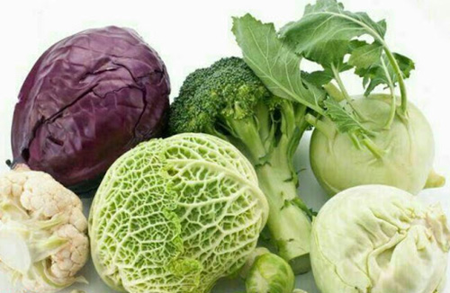 ۱۰ ماده غذایی گیاهی برای بهبود سلامت کلیه‌ها