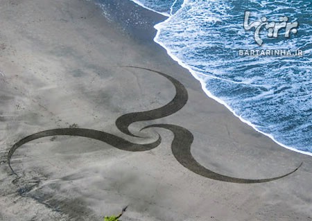 نقاشی های حیرت آور روی ساحل دریا