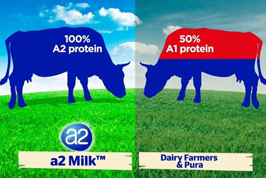 شیر A1 و A2  چه تفاوت هایی با هم دارند؟