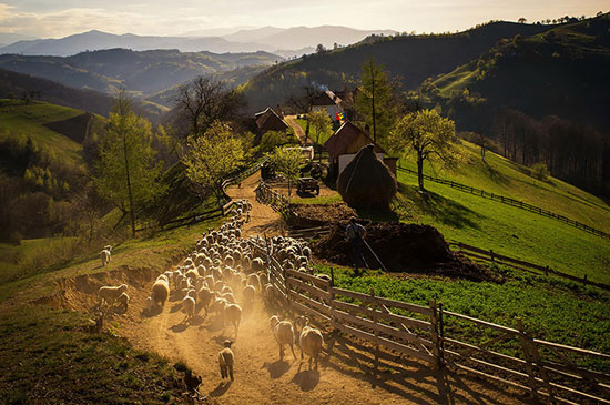 عکس: رومانی، سرزمین زیبایی‌ها