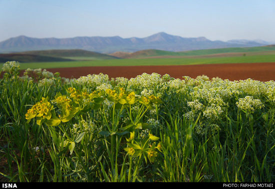 عکس: زیبایی های چهل‌چشمه کردستان