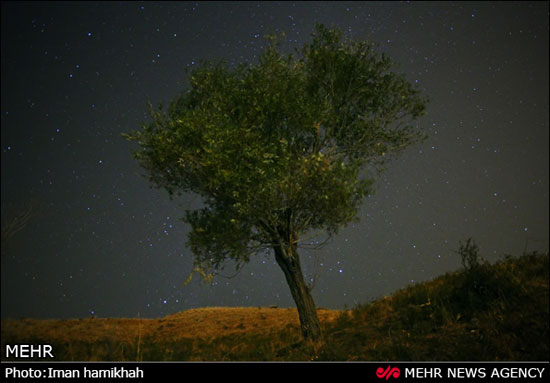 عکس: زیبایی های آسمان همدان