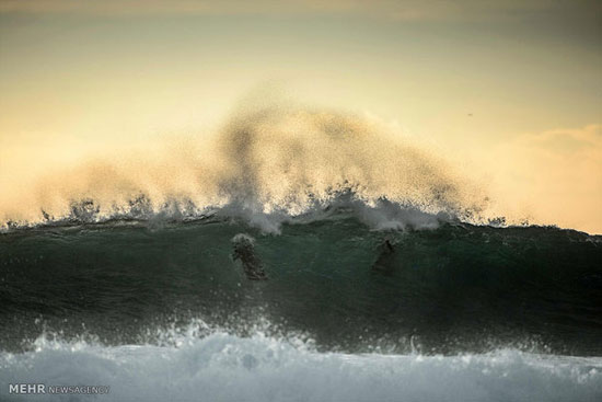 تصاویر زیبا از موج سواری در سواحل ایتالیا‎