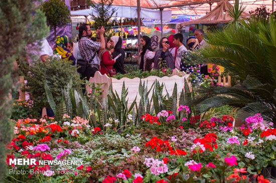 پانزدهمین جشنواره گل محلات