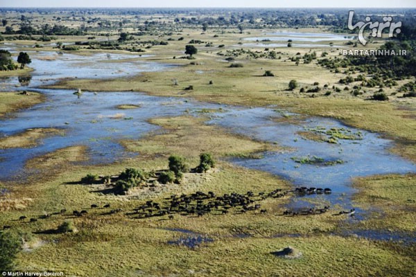 عکس های هوایی کم نظیر از طبیعت آفریقا