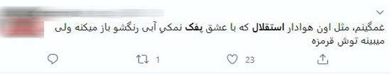 «پفک آبیِ» مدیرعامل استقلال، سوژه شد