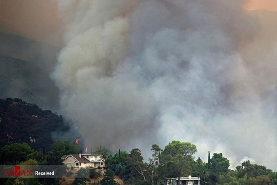 آتش سوزی گسترده در جنگل‌های لس آنجلس