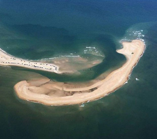 پدیدار شدن جزیره‌ای زیبا و خطرناک در ساحل شرقی آمریکا