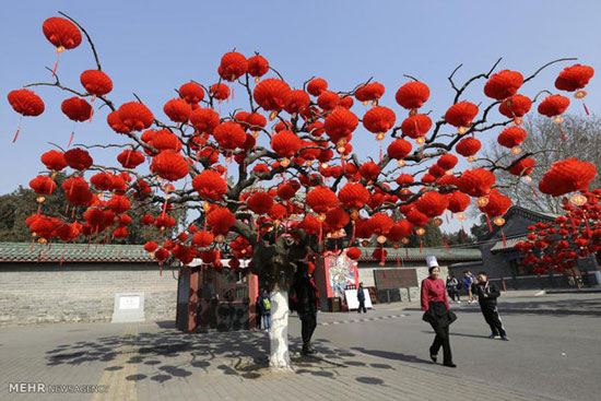 عکس: جشن سال نوی چینی