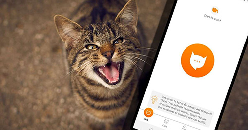با «MeowTalk» صدای گربه‌ها را ترجمه کنید