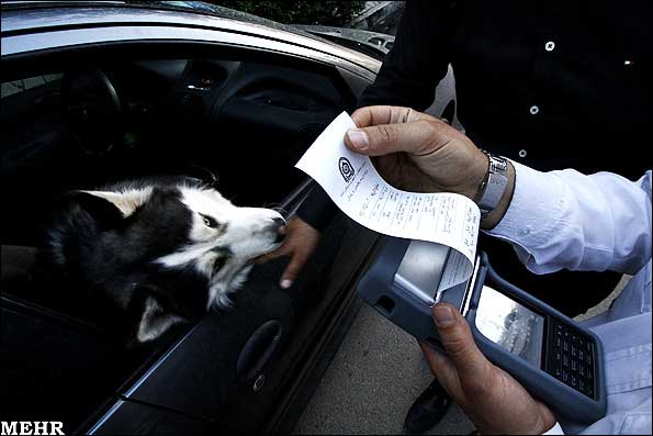 جریمه رانندگی با سگ، 20 هزار تومان /عکس