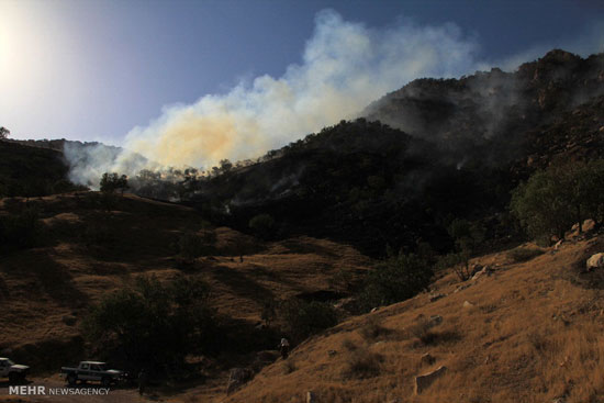 عکس: آتش سوزی در کوه‌های سرکن
