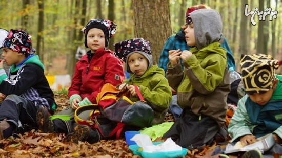 کودکستان های جنگلی در آلمان