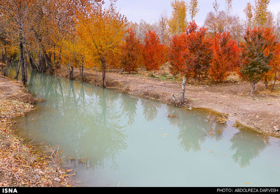 عکس: پاییز طلایی نصف جهان