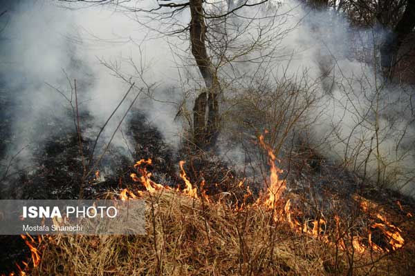 اراضی جنگلی «نکا» همچنان در آتش می‌سوزد