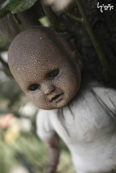 جزیره وحشتناک عروسک ها در مکزیک