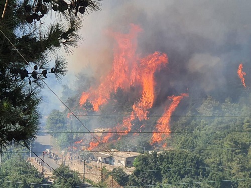 آتش‌سوزی گسترده در شمال لبنان