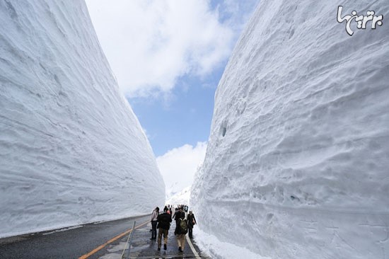 جاده محصور بین برف در ژاپن +عکس