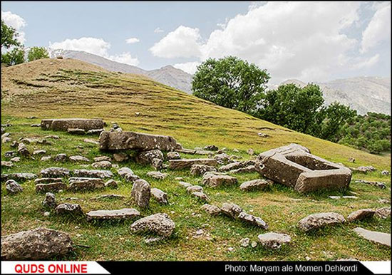 شیر در قبرستان/گزارش تصویری