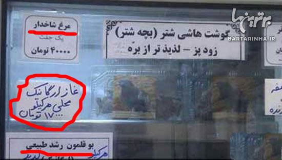 عجایبی که فقط در ایران می توان دید (37)