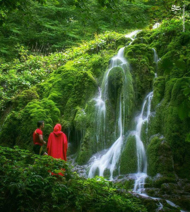 آبشار تمام خزه‌ای بولا در ایران