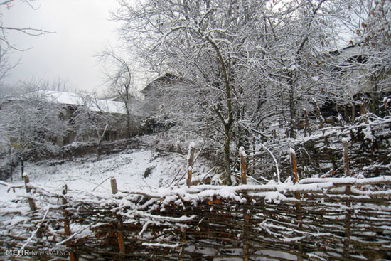عکس: زمستان زیبای ارتفاعات علی آباد کتول
