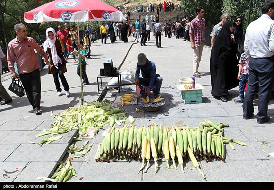 تصاویری از یک روز آرام در «گنجنامه»