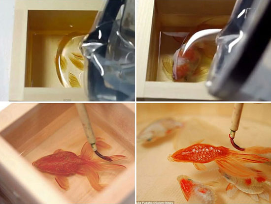 عکس: ماهی‌های واقعی یا نقاشی سه بعدی؟