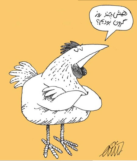 کارتون: مرغ ارزان!