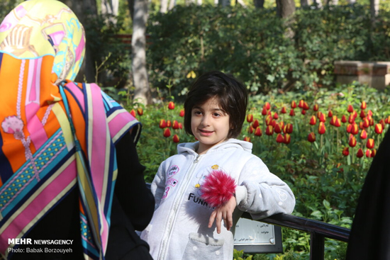 یک روز آفتابی در باغ ایرانی