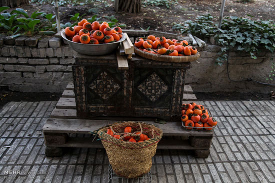 عکس: گشت و گذار در منطقه یک تهران