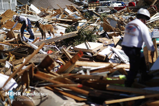 خسارات طوفان مایکل در آمریکا‎