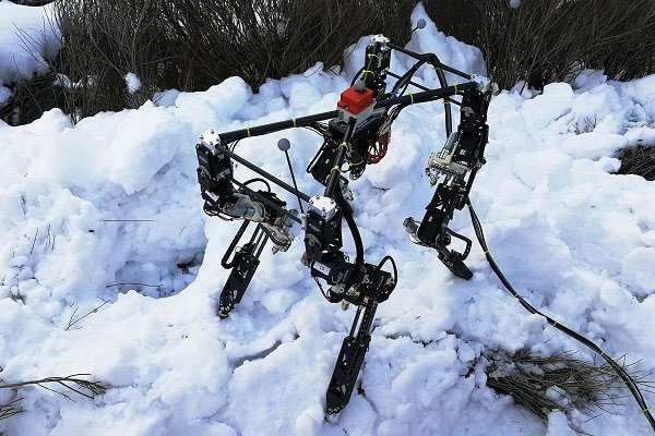 تولید رباتی که روی یخ و صخره هم راه می‌رود