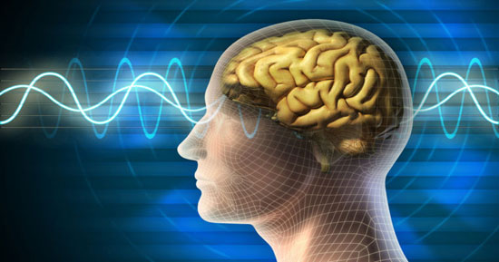بهبود ظرفیت حافظه صوتی مغز با نیروی مغناطیسی